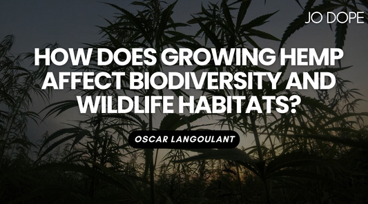 How Does Growing Hemp Affect Biodiversity and Wildlife Habitats?
