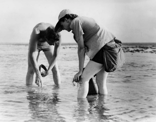 Hemp Hero | Rachel Carson