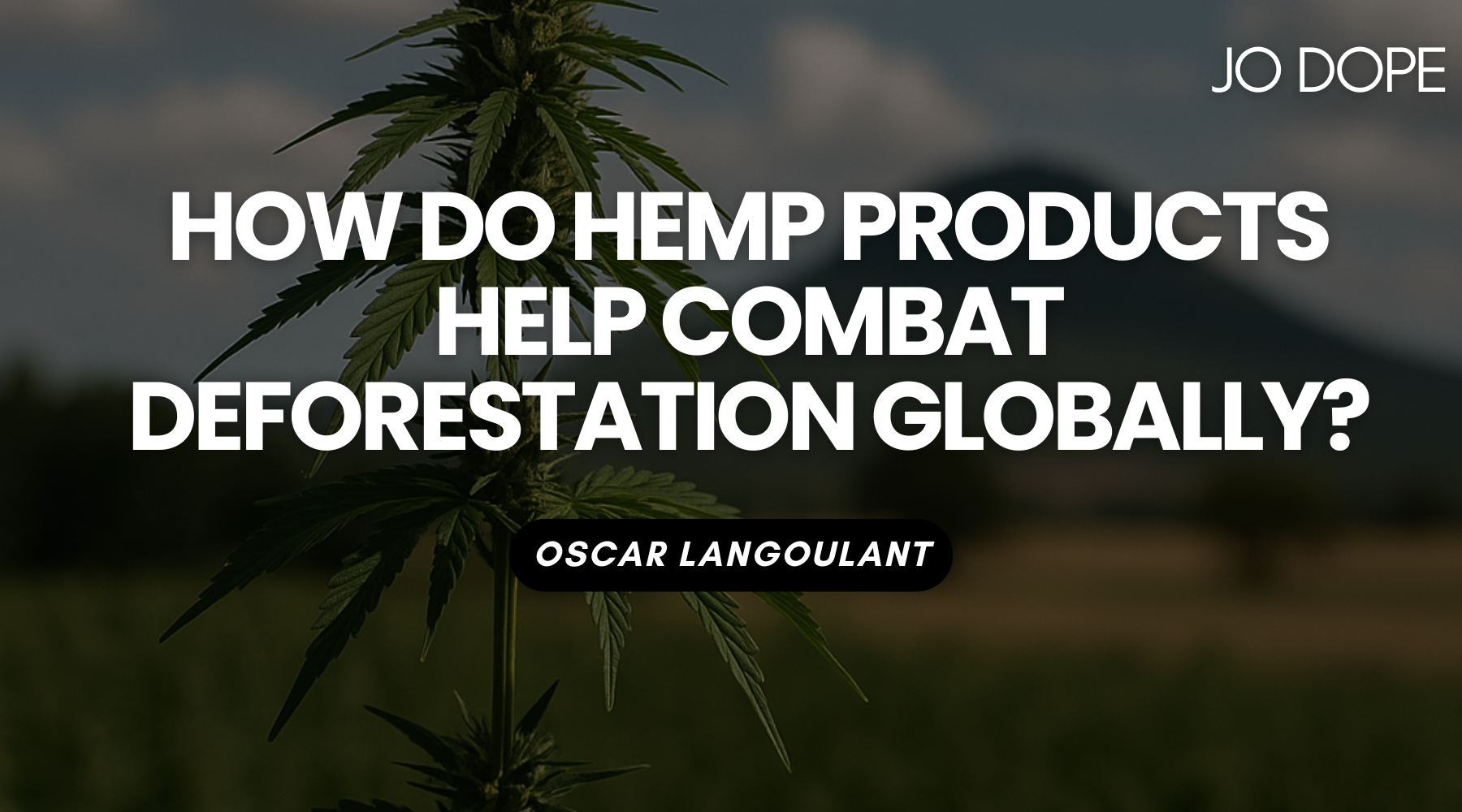 Ecolution Hemp How Do Hemp Products Help Combat Deforestation Globally? – JoDope